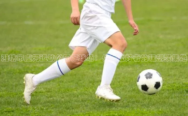 球盟会登录网址姚记科技潍坊市虞河运动公园足球场：体育爱好者的理想聚集地