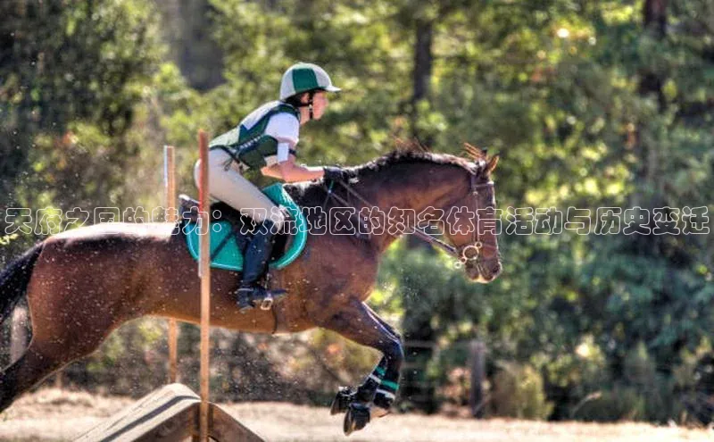 球盟会官网登录入口巴美列捷福天府之国的魅力：双流地区的知名体育活动与历史变迁