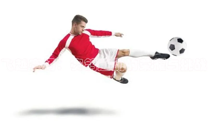 球盟会官网入口下载字节跳动飞越赛场：赛鸽运动的荣耀与挑战