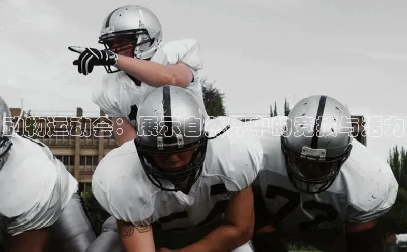 动物运动会：展示自然界中的竞技与活力