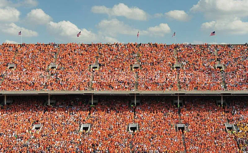 飞跃荣耀：一系列运动赛事的最新动态与精彩瞬间