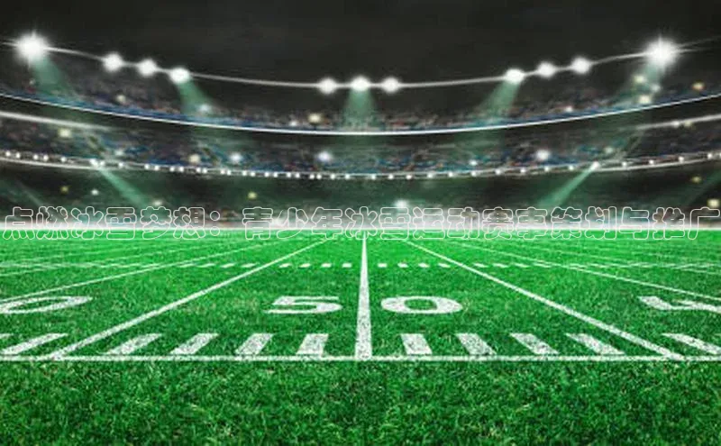 点燃冰雪梦想：青少年冰雪运动赛事策划与推广