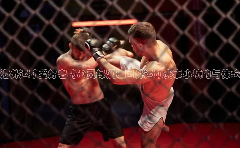 海外运动爱好者的心灵绿洲：国外运动赛事小镇的与体验