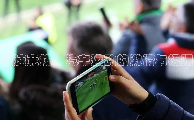 飙速竞技：汽车运动的激情与极限