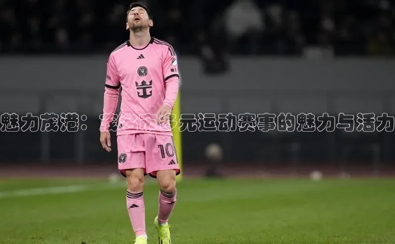 魅力茂港：茂名市多元运动赛事的魅力与活力