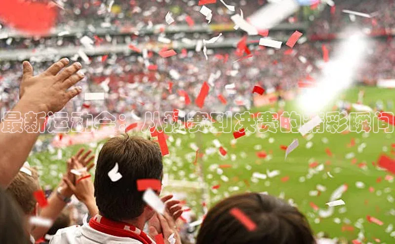 最新运动会：从预赛到决赛的精彩瞬间