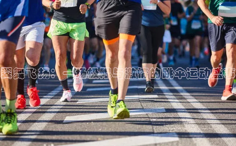 翼舞飞扬：一场极限与激情的跳伞运动盛事