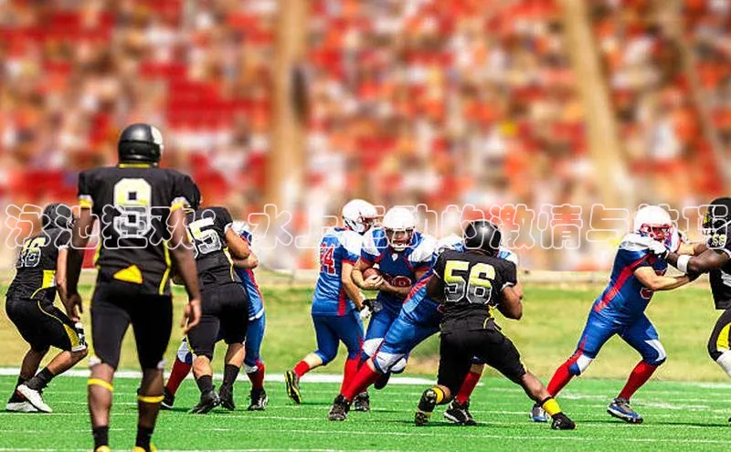 泳池狂欢：水上运动的激情与技巧