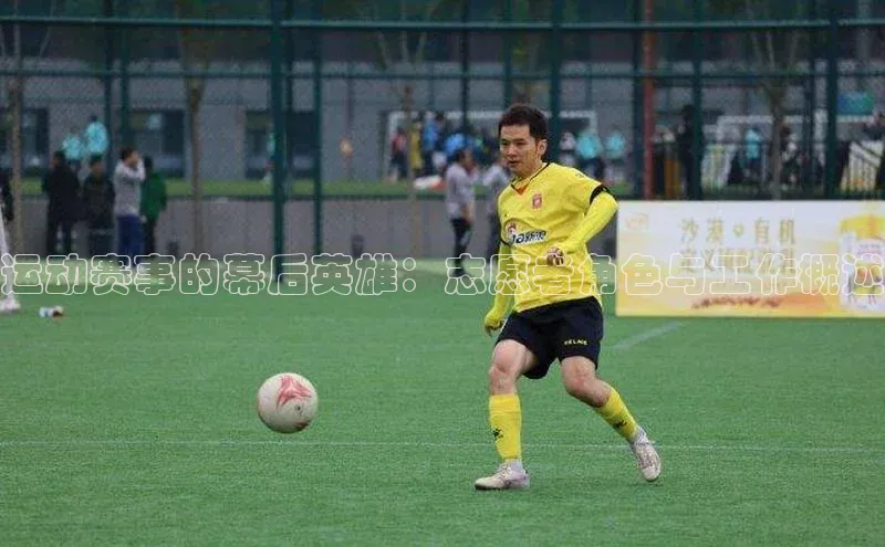 运动赛事的幕后英雄：志愿者角色与工作概述